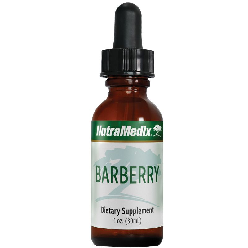 Barberry | Барбарис