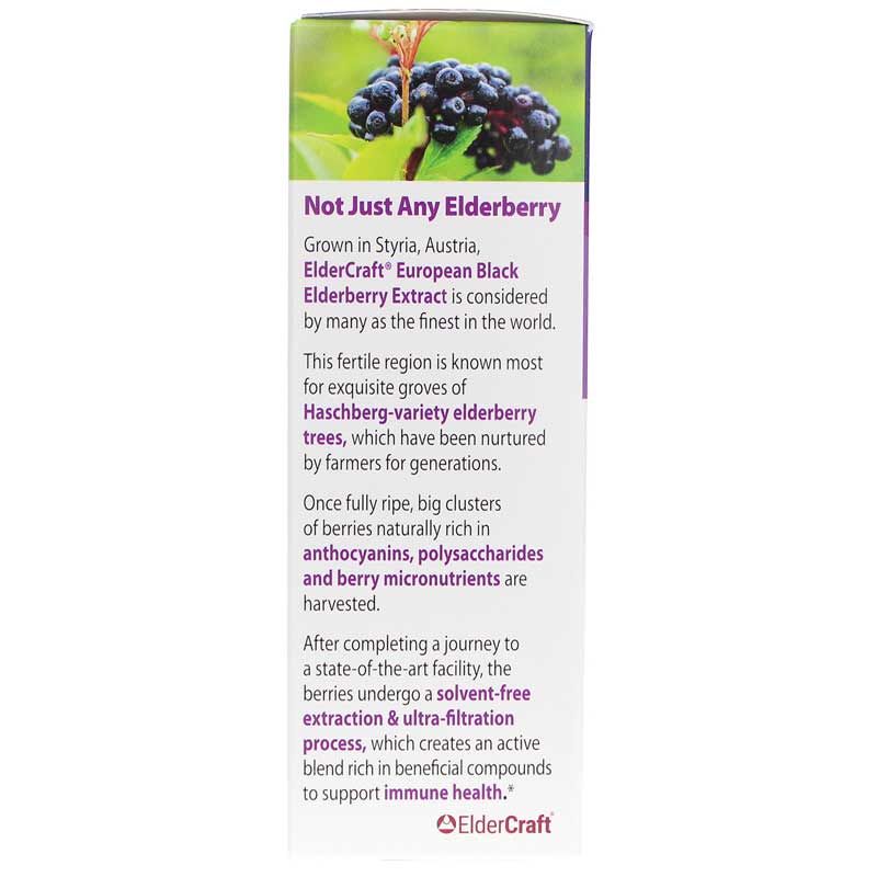 Black Elderberry On-the-Go Immune Packs, 15 Packets | Иммунные пакеты "на ходу" с черной бузиной, 15 пакетов