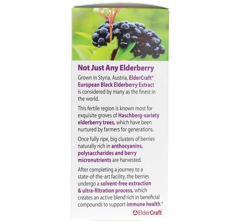Black Elderberry On-the-Go Immune Packs, 30 Packets | Иммунные пакеты "на ходу" с черной бузиной, 30 пакетов