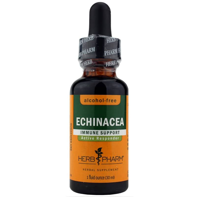 Echinacea Extract Alcohol Free, 1 Oz | Екстракт ехінацеї не містить спирту, 1 унція