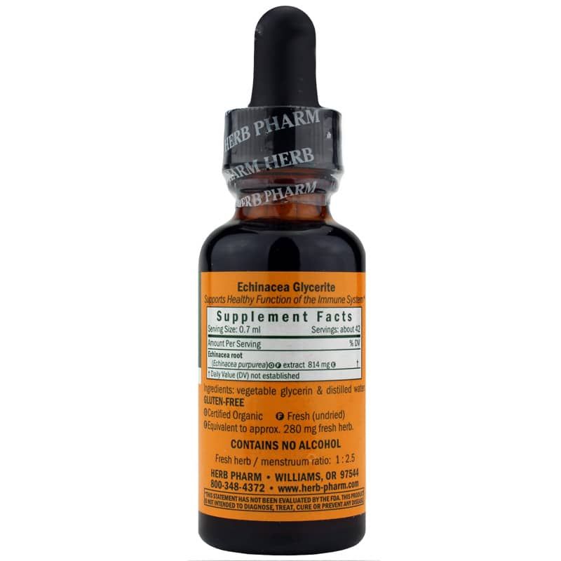 Echinacea Extract Alcohol Free, 1 Oz | Екстракт ехінацеї не містить спирту, 1 унція