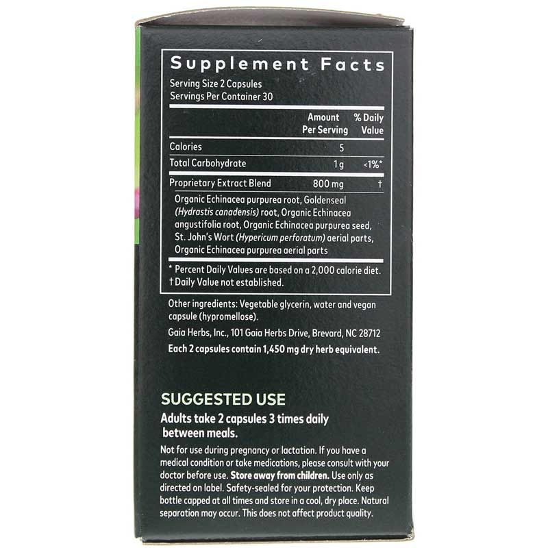 Echinacea Goldenseal | Эхинацея золотая розга