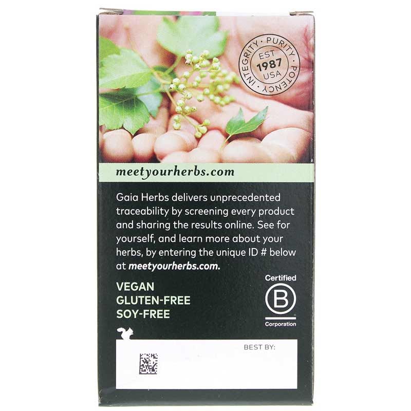 Echinacea Goldenseal | Эхинацея золотая розга