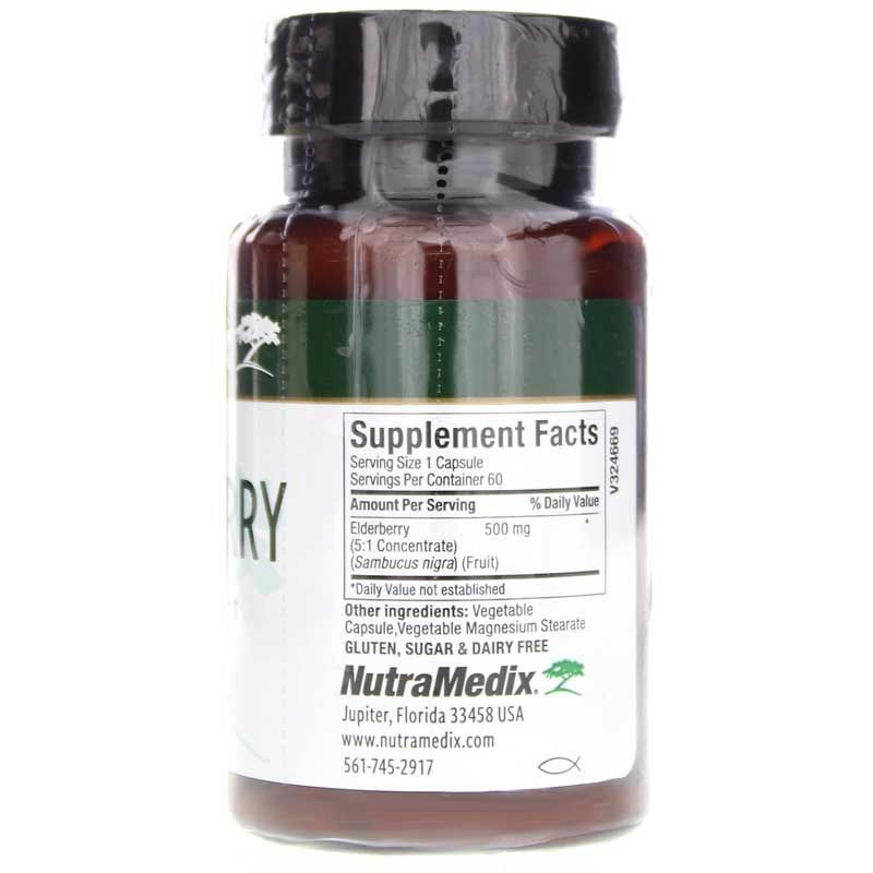 Elderberry | Бузина