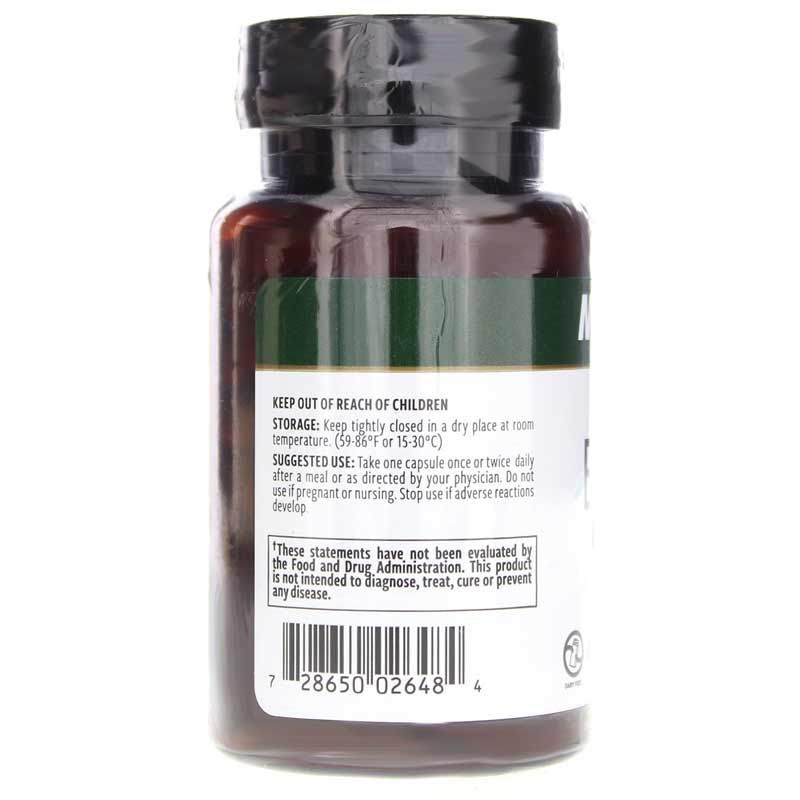 Elderberry | Бузина