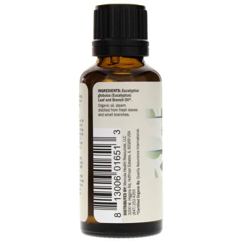 Eucalyptus Organic Essential Oil | Органическое эфирное масло эвкалипта