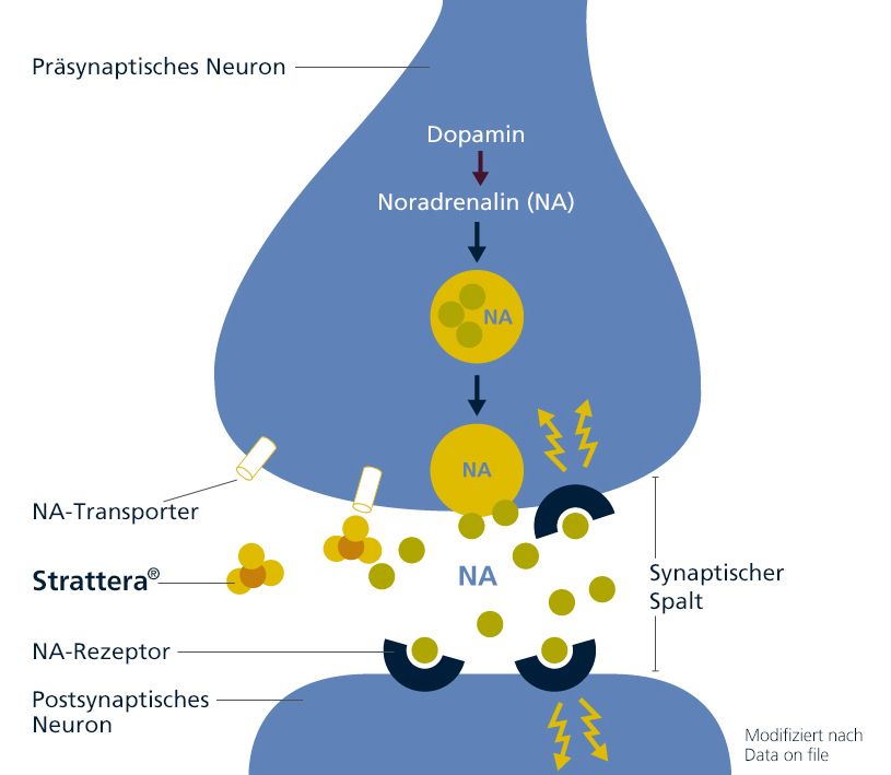 Аттекс - Attex 4 мг Атомоксетин / atomoxetine (повний аналог Strattera)  4 мг/мл, суспензія 100 мл.