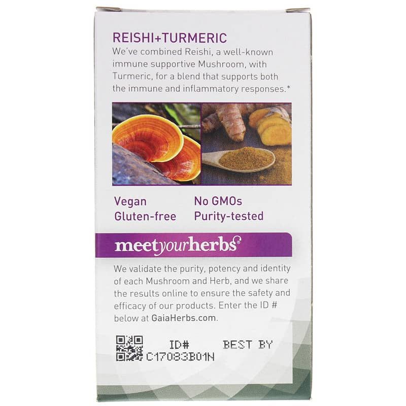 Mushrooms + Herbs Reishi + Turmeric | Грибы и травы рейши и куркума