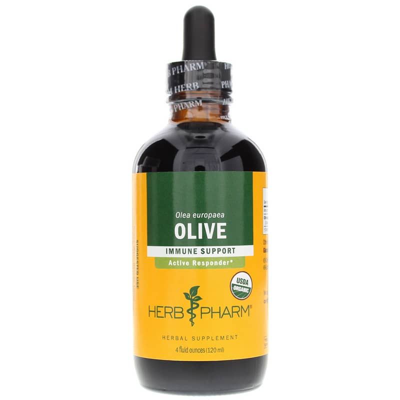 Olive Extract, 4 Oz | Экстракт оливы, 4 унции