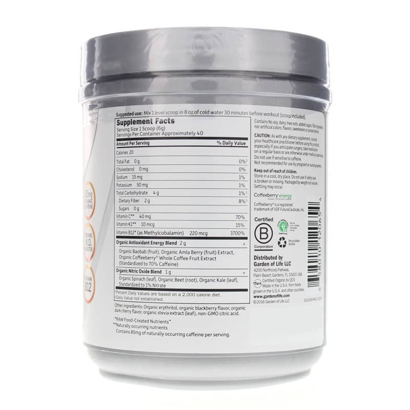 Organic Plant-Based Energy + Focus, Sugar Free Blackberry Cherry, 8.1 Oz | Енергія та фокус на основі органічних рослин, Чорна вишня без цукру, 8,1 унції