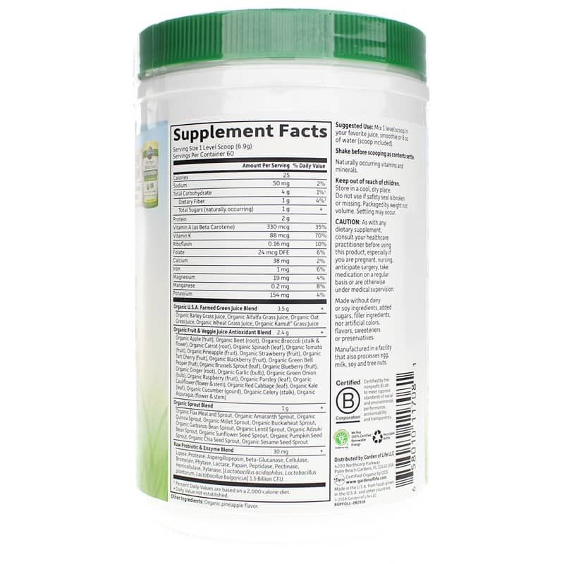 Raw Organic Perfect Food Green Powder, Original, 14.6 Oz | Сырая органическая идеальная пища зеленый порошок, Оригинал, 14,6 унции