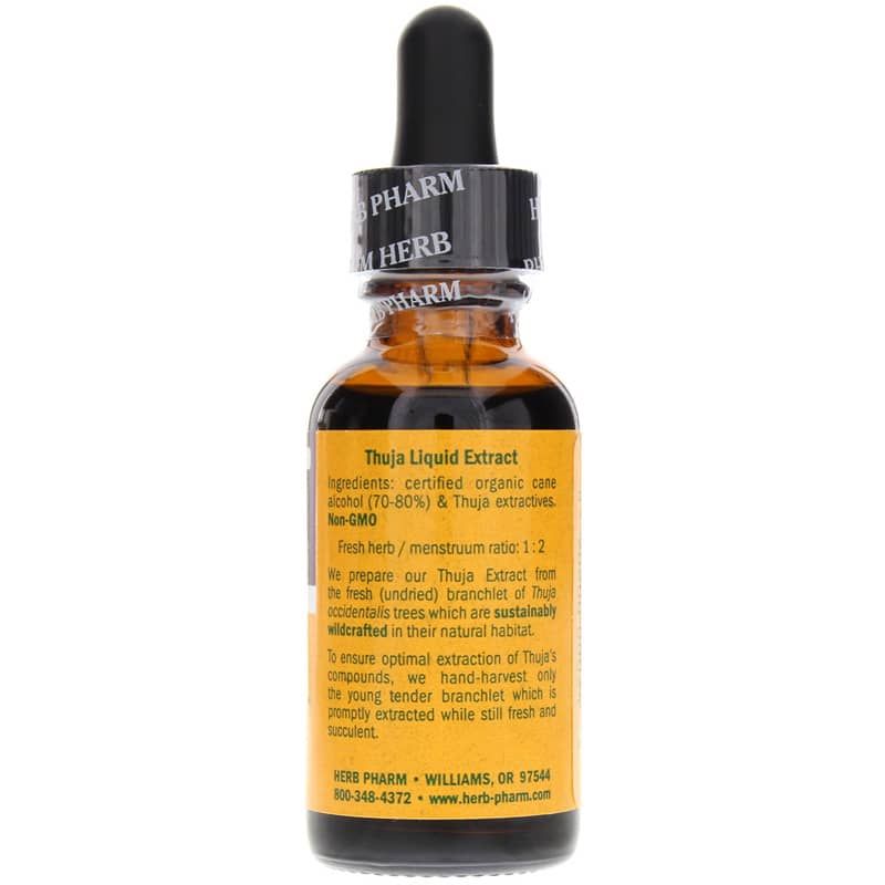 Thuja Extract Topical, 1 Oz | Экстракт туи местного действия, 1 унция